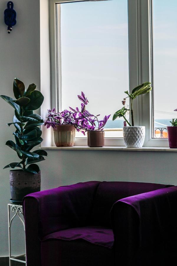 Vila Gladiola Eforie Nord Eksteriør billede